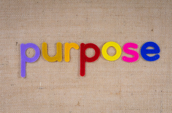 Re-frame Your Organization’s Purpose